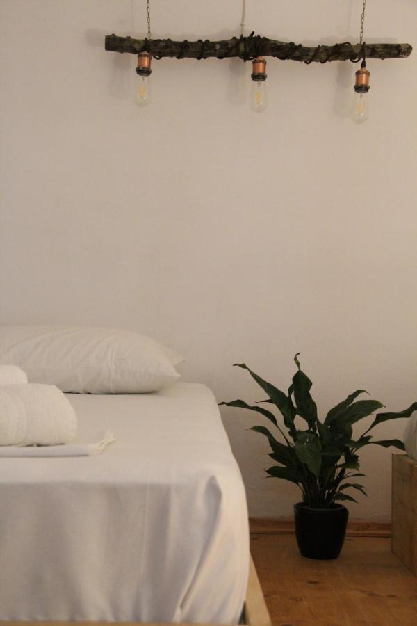 My Wooden Apartments Tiranë Ngoại thất bức ảnh